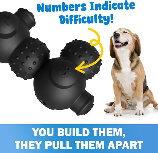 Puppy Puzzle Toys Beginner