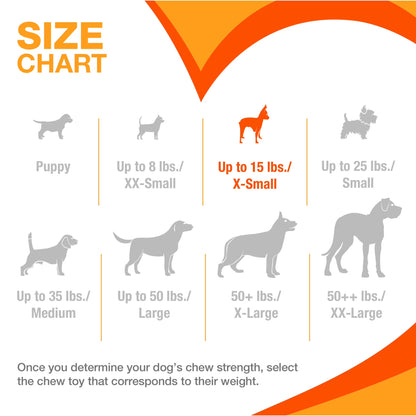 Puppy Chew Teething Bone & Ring Bone Chew Toy Flavor Medley & Chicken X-Small (2 Count)