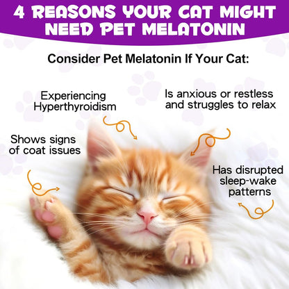 Melatonin for Cats - Cat Calming Treats- Cat Sedative for Grooming - Helps to Support Restful Sleep for Your Cat - Cat Sleep Aid - Anxiety Relief for Cats