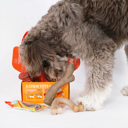Dog Toy Gift Box, Includes 3 Dog Chew Toys and 1 Dog Treat, Large Dogs, 4 Pack