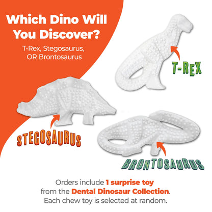 Power Chew Dental Dinosaur Dog Toy, Dog Chew Toy, Chicken Flavor, Large, 1 Count