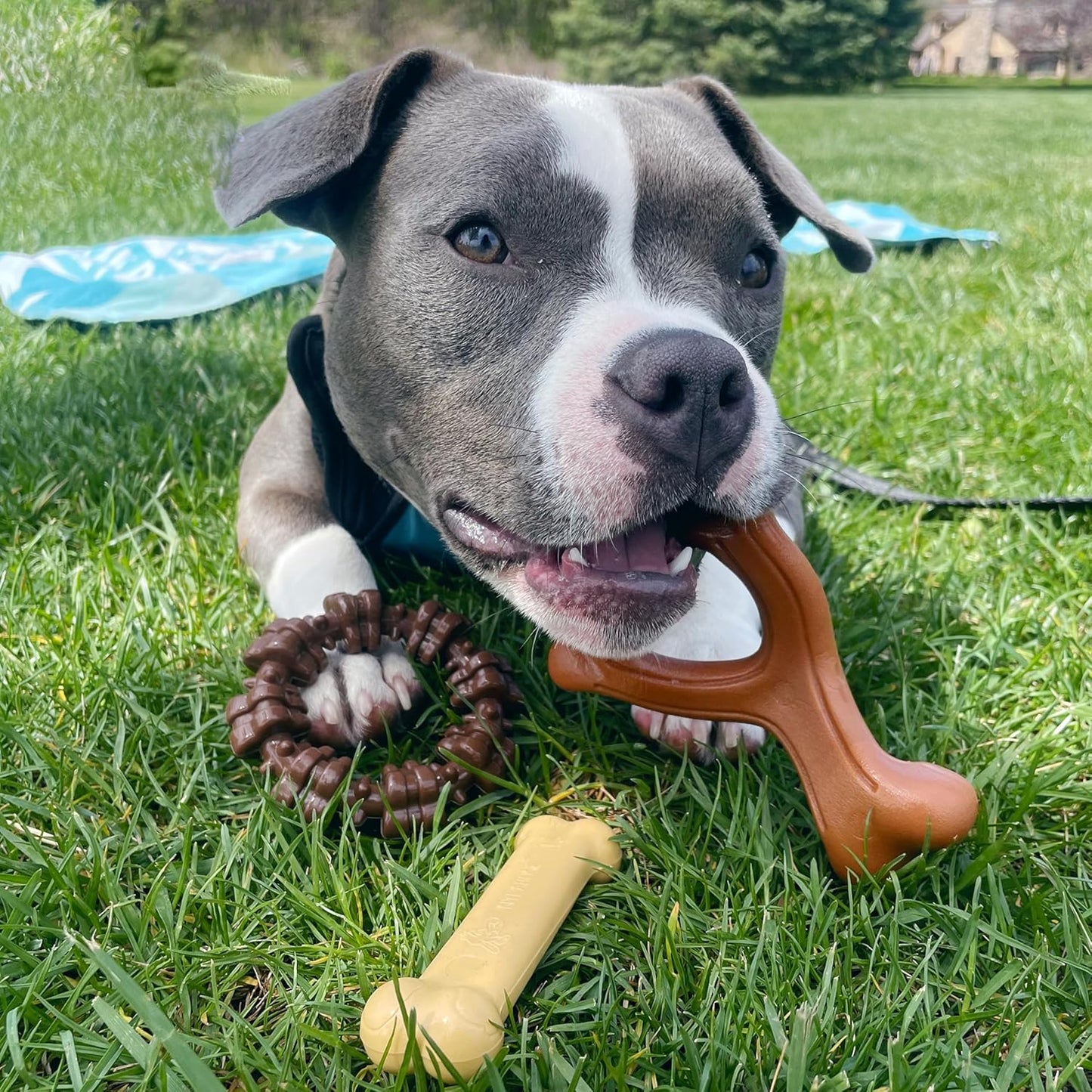 Power Chew Customer Favorites Dog Chew Toys, 3 Count, Small | Flavor Medley, Peanut Butter, and Beef Flavor, Durable Dog Toys for Aggressive Chewers, for Large Breeds up to 25 Lbs