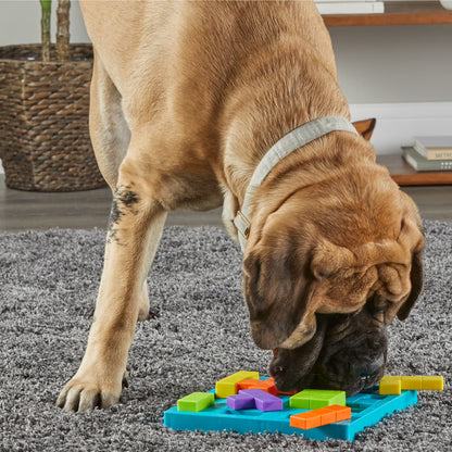 Brightkins Brain Teaser Dog Toy Treat Puzzle Including Guide for Puppy Birthdays, Multi-Color Jigsaw