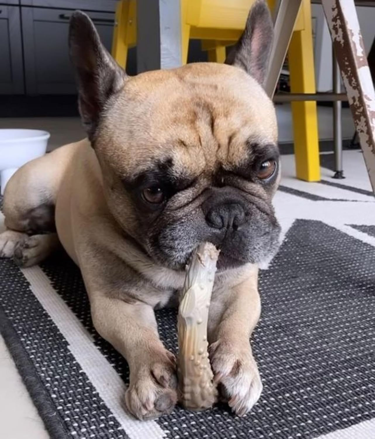 Power Chew Antler Alternative Nylon Chew Toy for Dogs, Dog Toys for Aggressive Chewers, Venison Flavor, Large/Giant (1 Count) | Splinter-Free, Durable Dog Toys for Aggressive Chewers, Long Lasting, Discourages Destructive Chewing, for Dogs up to 50 Lbs