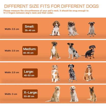 Dog Collar with Dog Tag Reflective Soft Neoprene Padded Breathable and Adjustable, Odour Resistant and Fast Drying-Orange-M