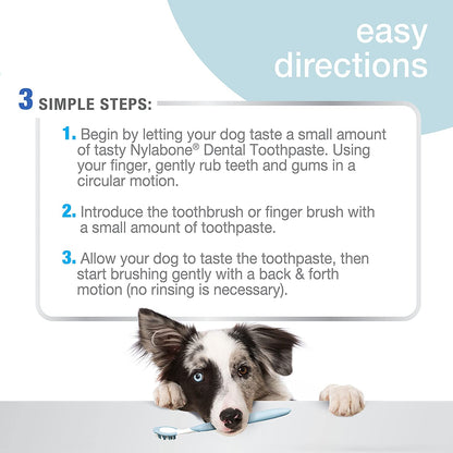 Advanced Oral Care Dog Dental Kit Original Flavor 2.5 Oz.