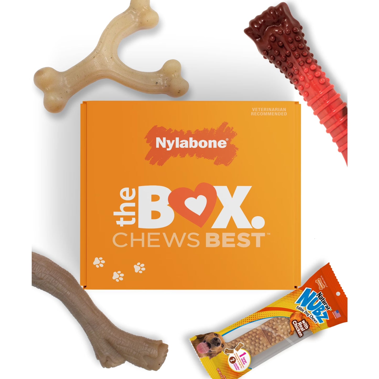 Dog Toy Gift Box, Includes 3 Dog Chew Toys and 1 Dog Treat, Large Dogs, 4 Pack