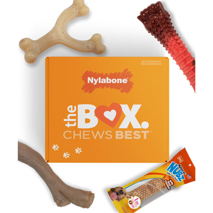Dog Toy Gift Box, Includes 3 Dog Chew Toys and 1 Dog Treat, Large Dogs, 4 Pack