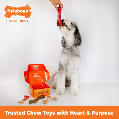 Dog Toy Gift Box, Includes 3 Dog Chew Toys and 1 Dog Treat, Large Dogs, 4 Pack