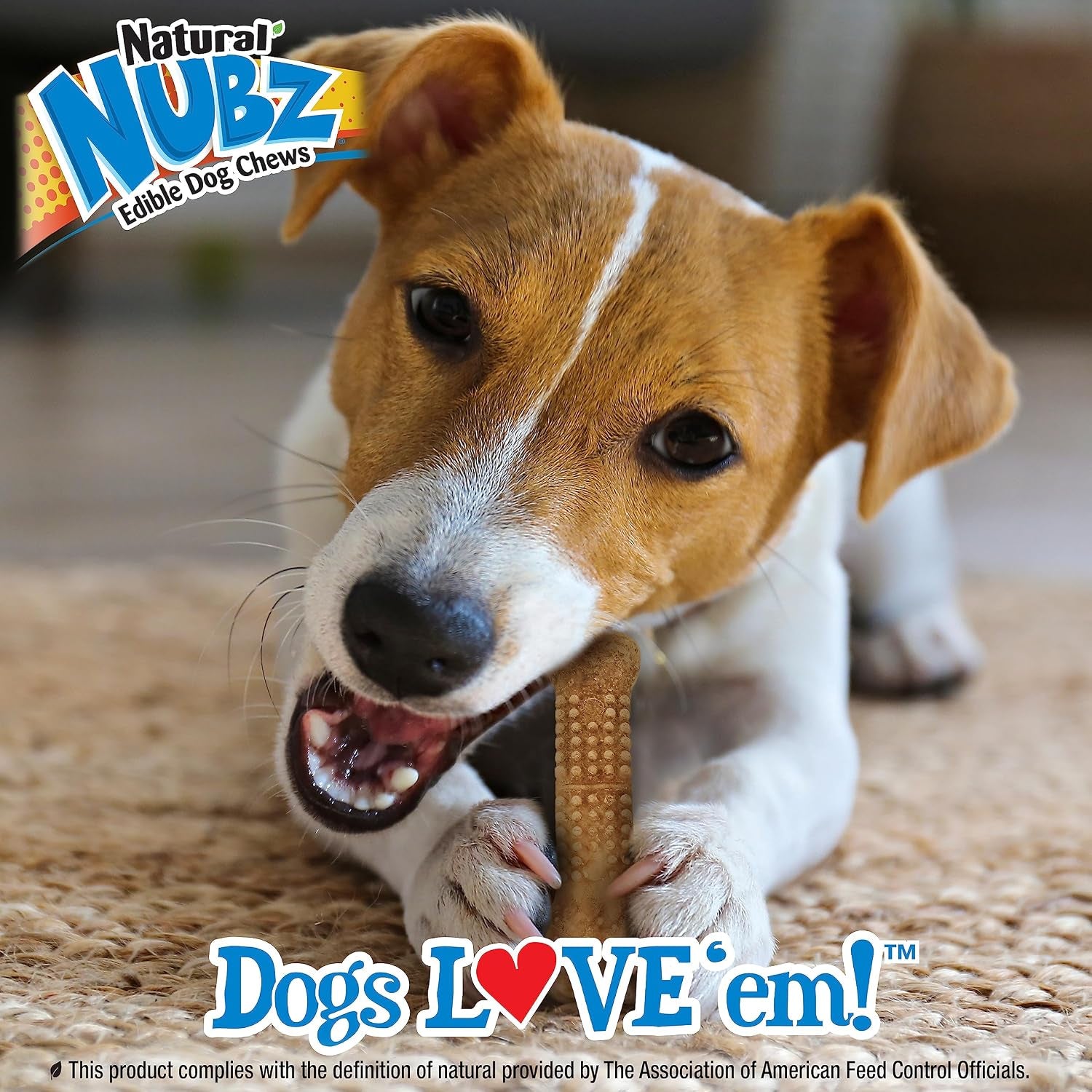 Nubz Wild Natural Dog Treats, Bison Flavor, Small, 4 Count | Long Lasting Dog Chews, Made in USA, Limited Ingredients, Highly Digestible, Dog Dental Treats for Small Dogs up to 30 Lbs