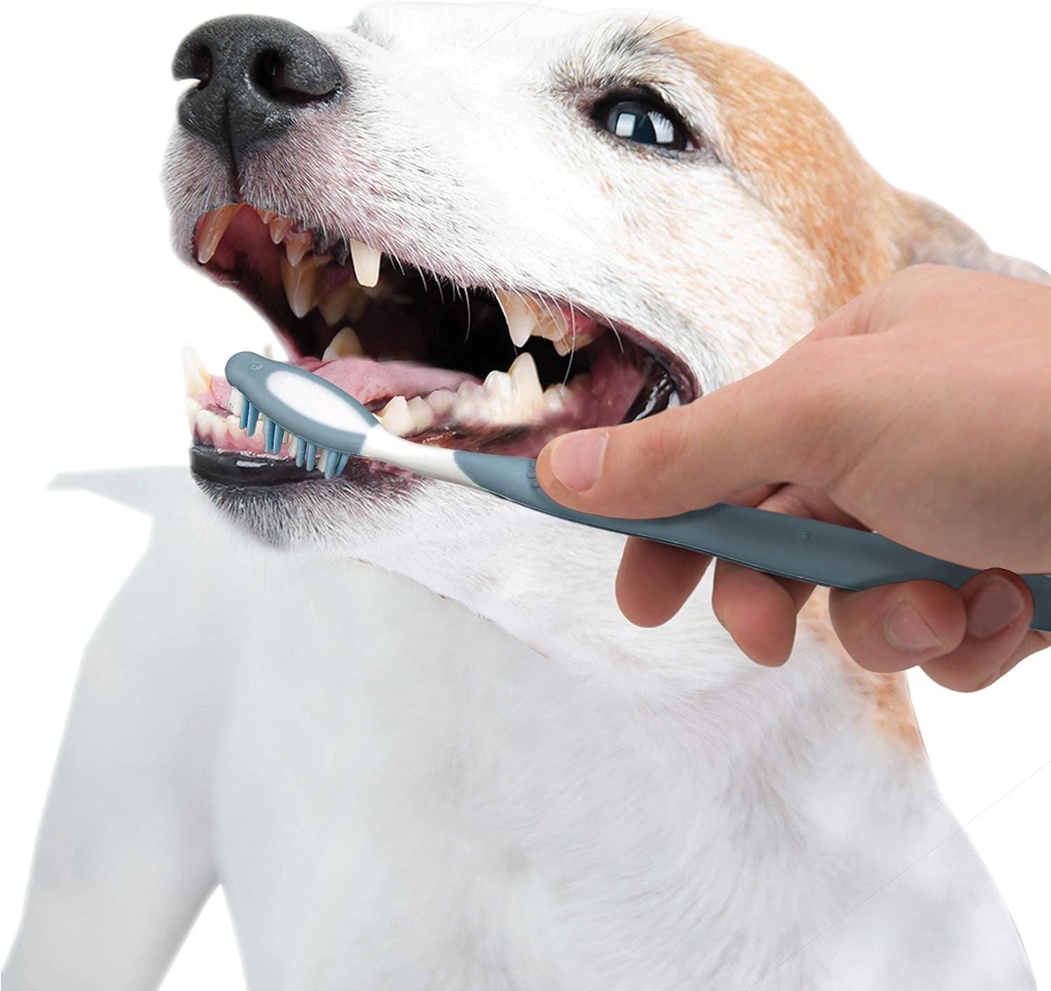 Advanced Oral Care Dog Dental Kit Original Flavor 2.5 Oz.