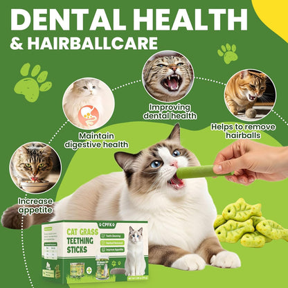 Cat Grass Sticks, 60 G Cat Grass Teething Stick and 50 G Cats Treats, Natural Dental Chews for Teeth Cleaning & Hairball Relief Teething Sticks for Indoor Cats Grain-Free