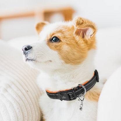 Dog Collar with Dog Tag Reflective Soft Neoprene Padded Breathable and Adjustable, Odour Resistant and Fast Drying-Orange-M