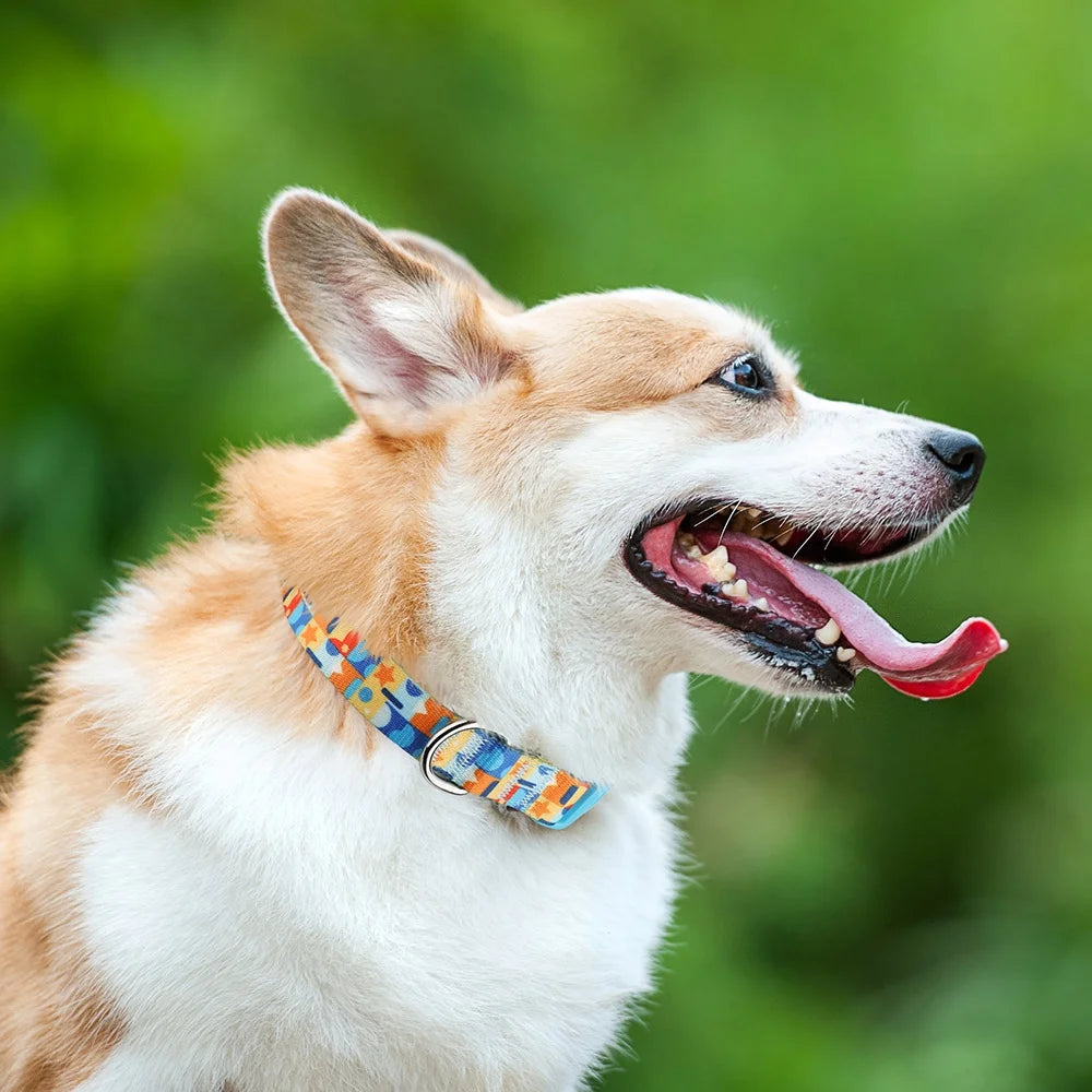 Dog Collar for Large Dogs, Durable Comfortable Nylon Dog Collars, Adjustable Dog Collars with Buckle