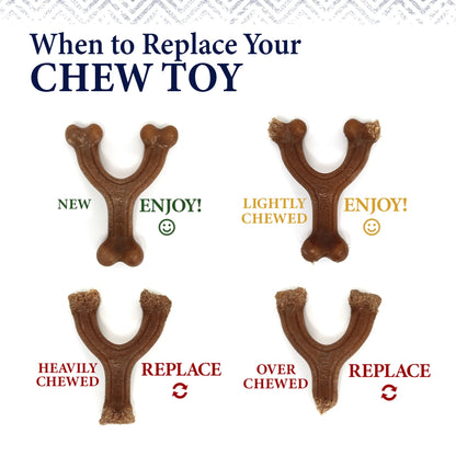 Strong Chew Gourmet Style Wishbone Dog Toy, Dog Chew Toy, Peanut Butter Flavor, Large, 1 Count