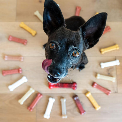 Power Chew Customer Favorites Dog Chew Toys, 3 Count, Small | Flavor Medley, Peanut Butter, and Beef Flavor, Durable Dog Toys for Aggressive Chewers, for Large Breeds up to 25 Lbs
