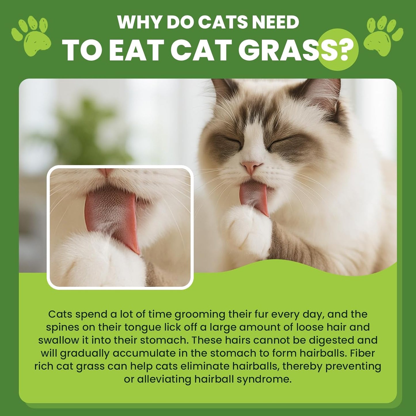 Cat Grass Sticks, 60 G Cat Grass Teething Stick and 50 G Cats Treats, Natural Dental Chews for Teeth Cleaning & Hairball Relief Teething Sticks for Indoor Cats Grain-Free