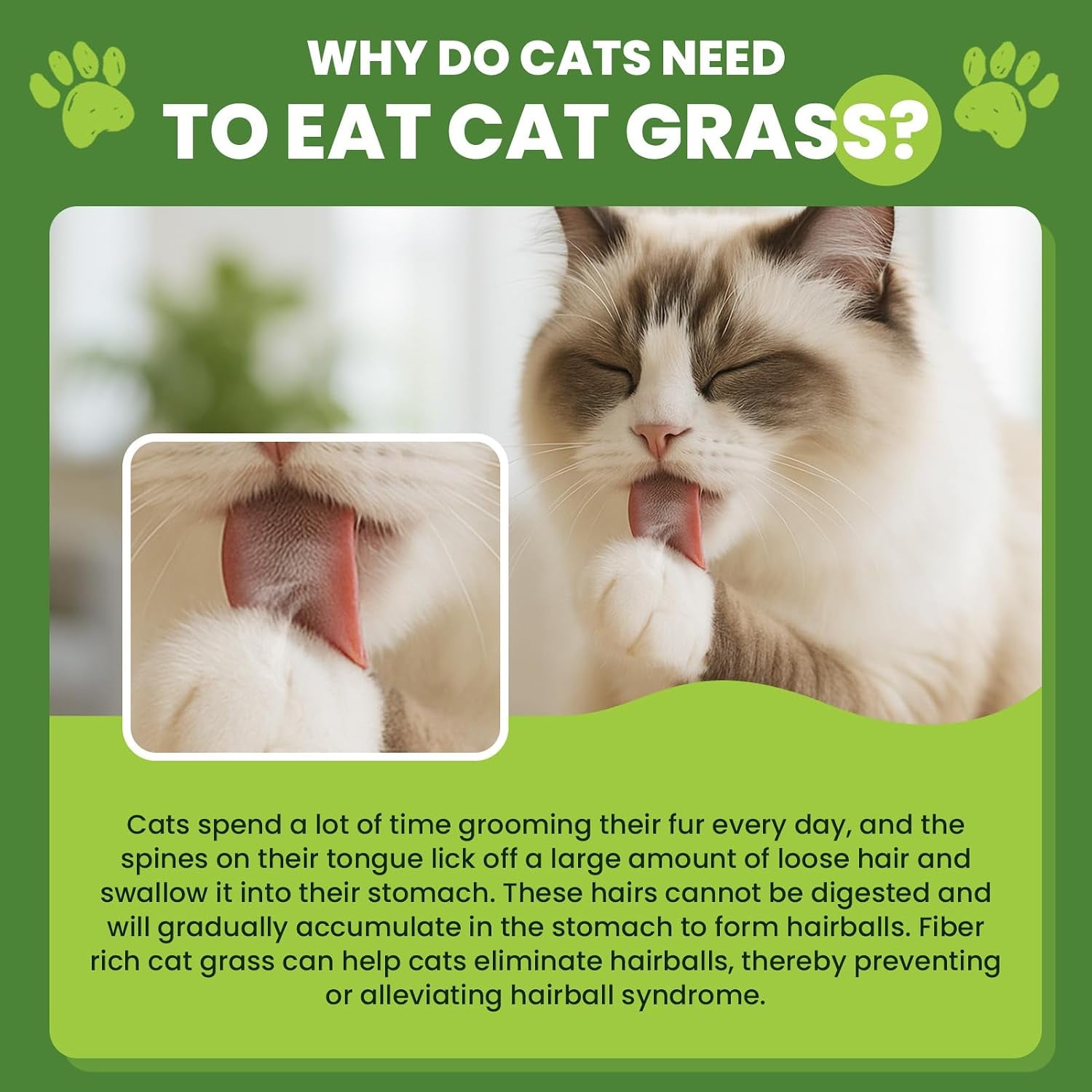 Cat Grass Sticks, 60 G Cat Grass Teething Stick and 50 G Cats Treats, Natural Dental Chews for Teeth Cleaning & Hairball Relief Teething Sticks for Indoor Cats Grain-Free