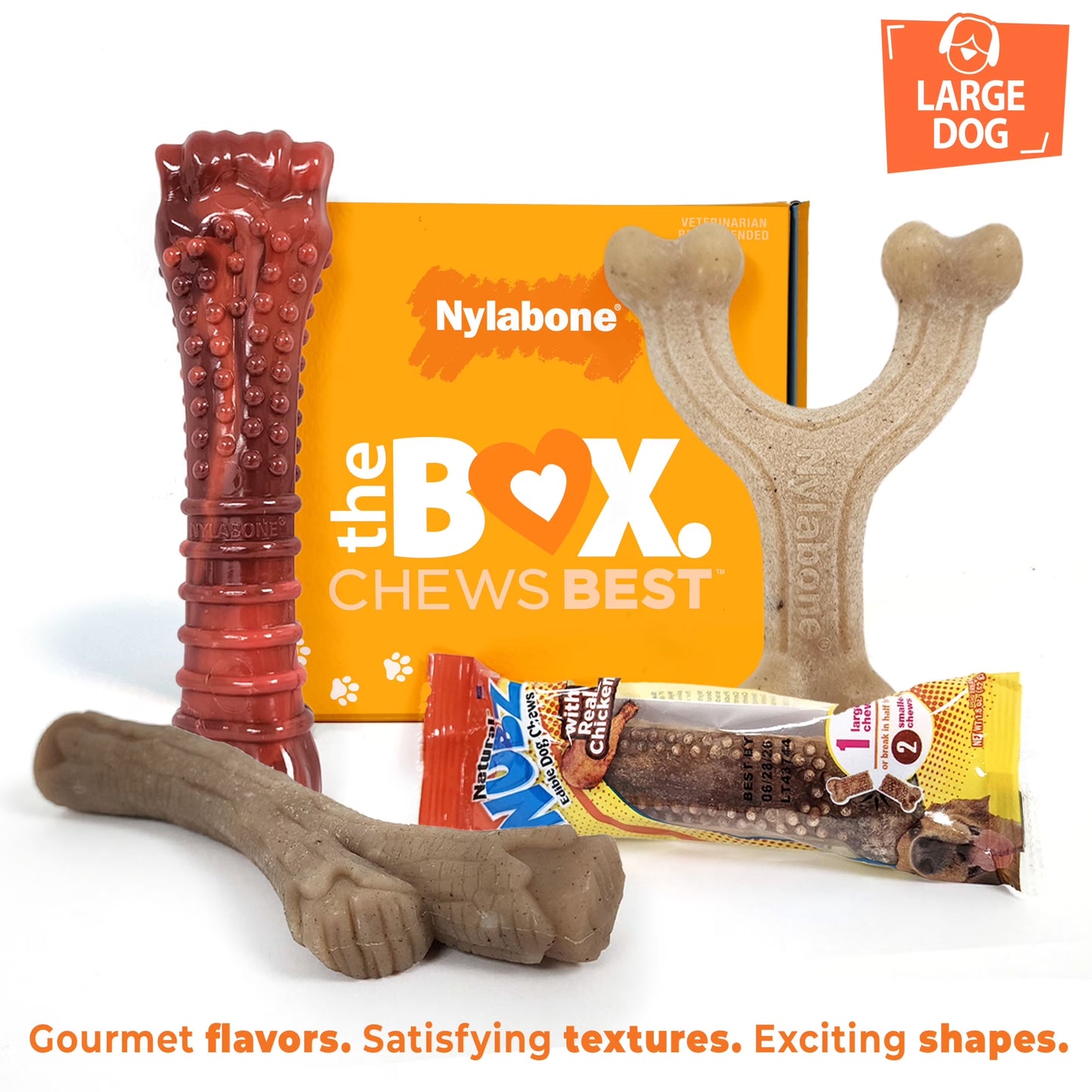 Dog Toy Gift Box, Includes 3 Dog Chew Toys and 1 Dog Treat, Large Dogs, 4 Pack