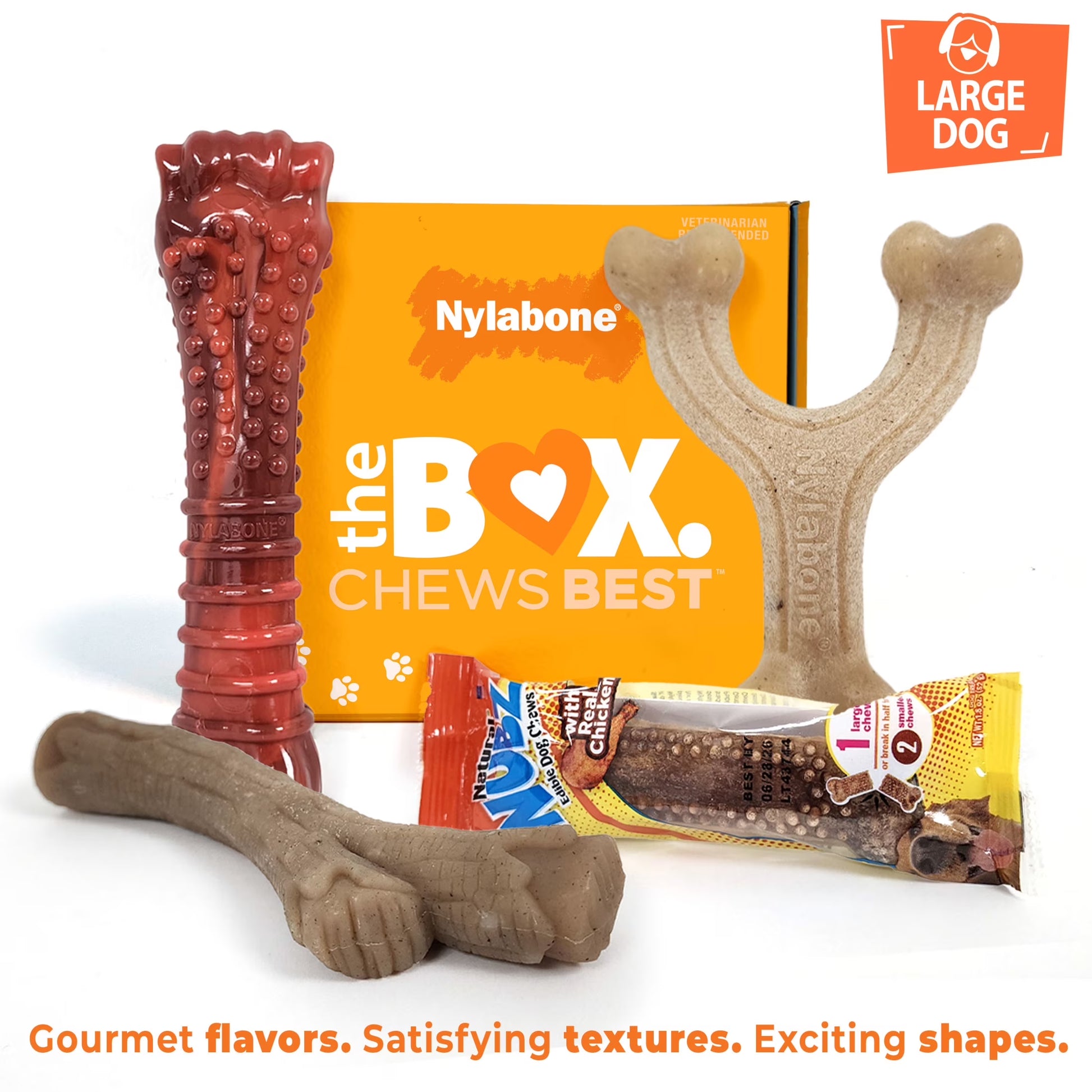 Dog Toy Gift Box, Includes 3 Dog Chew Toys and 1 Dog Treat, Large Dogs, 4 Pack