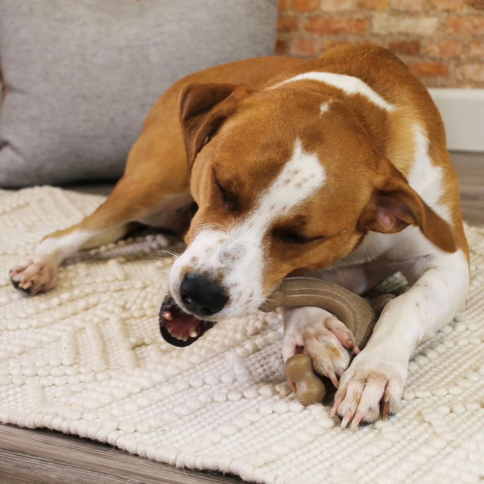 Strong Chew Gourmet Style Wishbone Dog Toy, Dog Chew Toy, Peanut Butter Flavor, Large, 1 Count