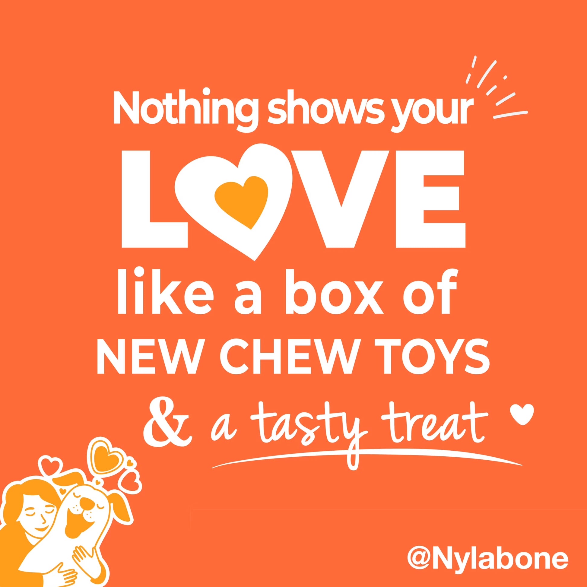 Dog Toy Gift Box, Includes 3 Dog Chew Toys and 1 Dog Treat, Large Dogs, 4 Pack