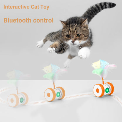 Remote Control Cat Toy Hunting Electronic Cat Toy Smart Moving Home Alone Cat Toys