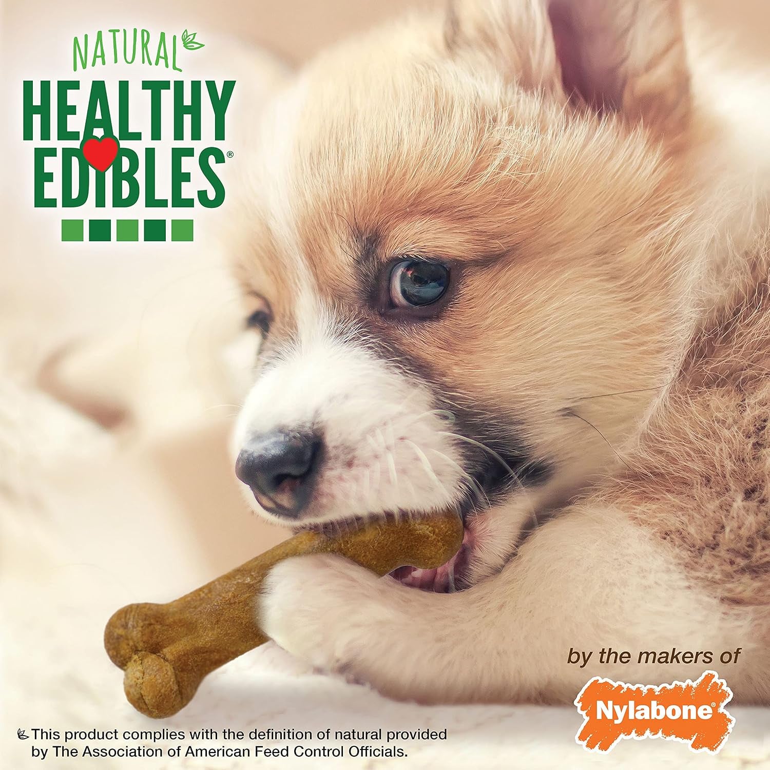 Healthy Edibles Puppy Dog Treats, Lamb & Apple Flavor, 8 Count | Natural Puppy Treats, USA Made, Highly Digestible, Vet Recommended, Long Lasting, Small Dog Treats for Puppies up to 15 Lbs
