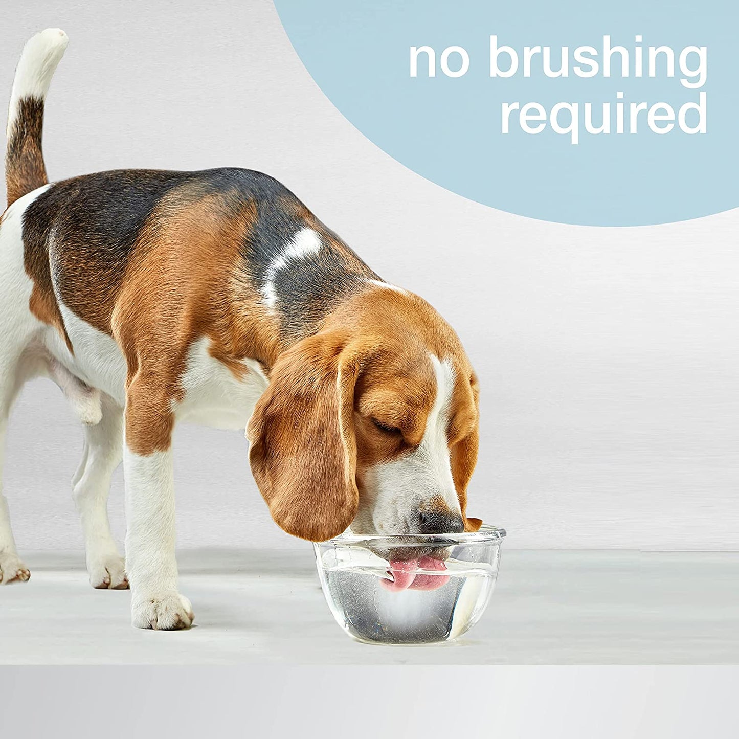 Advanced Oral Care Pet Dental Water Additive, Liquid Tartar Remover & Breath Freshener for Dogs, Dog Teeth-Cleaning, Original Flavor, 16 Oz.