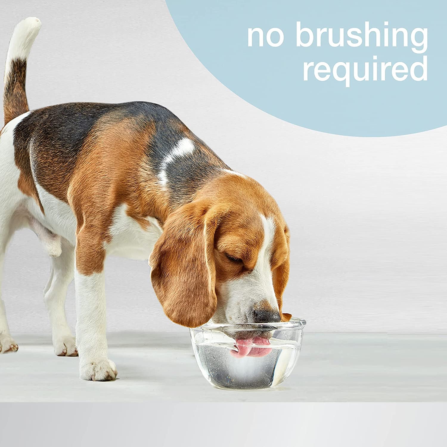 Advanced Oral Care Pet Dental Water Additive, Liquid Tartar Remover & Breath Freshener for Dogs, Dog Teeth-Cleaning, Original Flavor, 16 Oz.