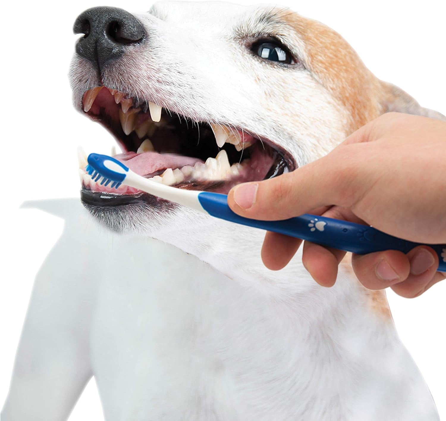 Advanced Oral Care Puppy Dental Kit Puppy Original 3 Count