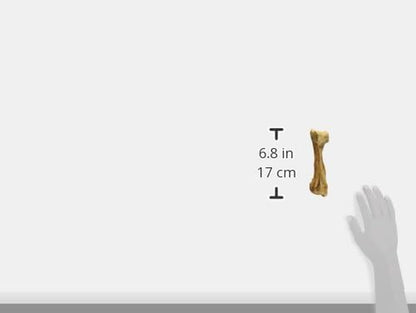 Healthy Edibles Wild Dog Treats, Venison Flavor, Large | Natural Dog Chew Bones, Made in USA, Highly Digestible Dog Chews, Long Lasting Chews for Large Dogs up to 50 Lbs