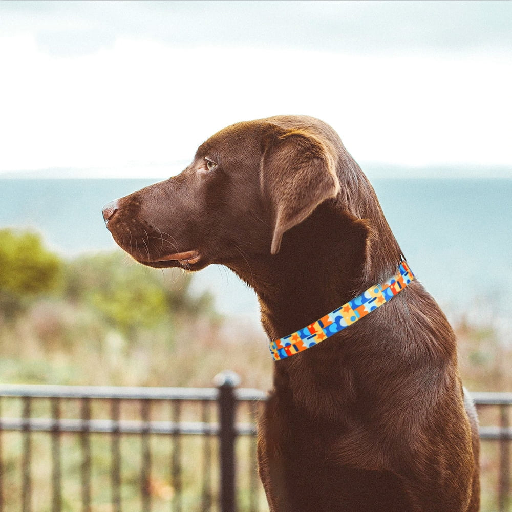 Dog Collar for Large Dogs, Durable Comfortable Nylon Dog Collars, Adjustable Dog Collars with Buckle