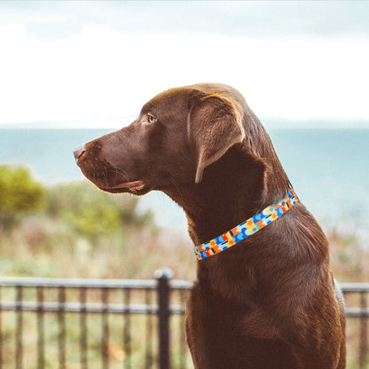 Dog Collar for Large Dogs, Durable Comfortable Nylon Dog Collars, Adjustable Dog Collars with Buckle