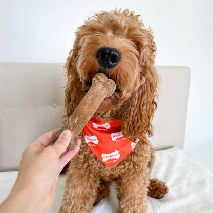 Healthy Edibles Natural Dog Chews Long Lasting Chicken Flavor Treats for Dogs, Medium/Wolf (2 Count)