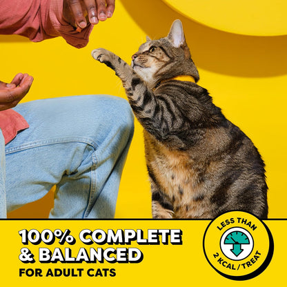 Wacky Blasts Cat Treats, Cluckin' Bacon Flavor, 3 Oz, 12 Pack | Chicken, Bacon & Catnip Flavor Bits, Crunchy Outside, Soft Inside, under 2 Cal, 100% Complete & Balanced, Resealable Pouch