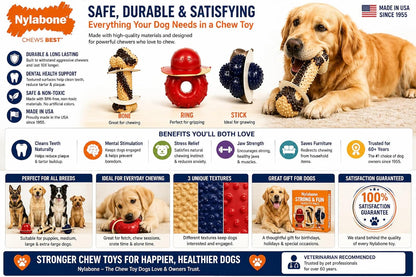 Tough Dog Chew Variety Pack, 3 Count | Long-Lasting Nylon Satisfies Aggressive Chewers, Promotes Dental Health, Reduces Destructive Behavior,Vet-Recommended