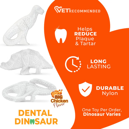 Power Chew Dental Dinosaur Dog Toy, Dog Chew Toy, Chicken Flavor, Large, 1 Count