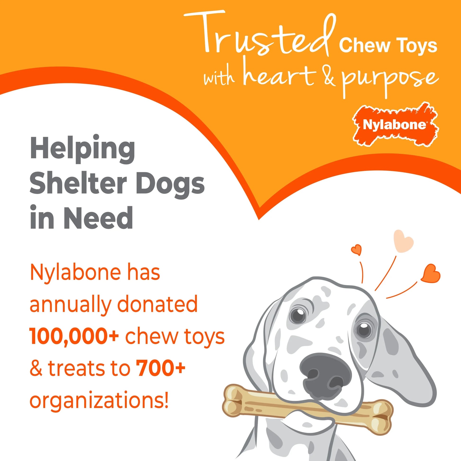 Puppy Chew Freezer Bone Cloth Puppy Toy, Rubber Teething Chew Toy, Peanut Butter Flavor, Small, 1 Count