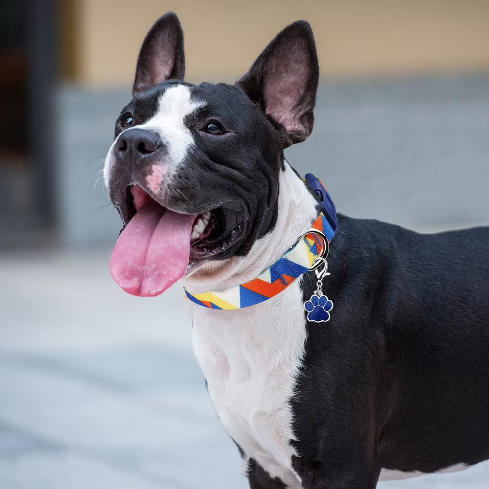 Dog Collar for Medium Dogs, Adjustable Dog Collars with Buckle, Breathable Soft Nylon Dog Collar