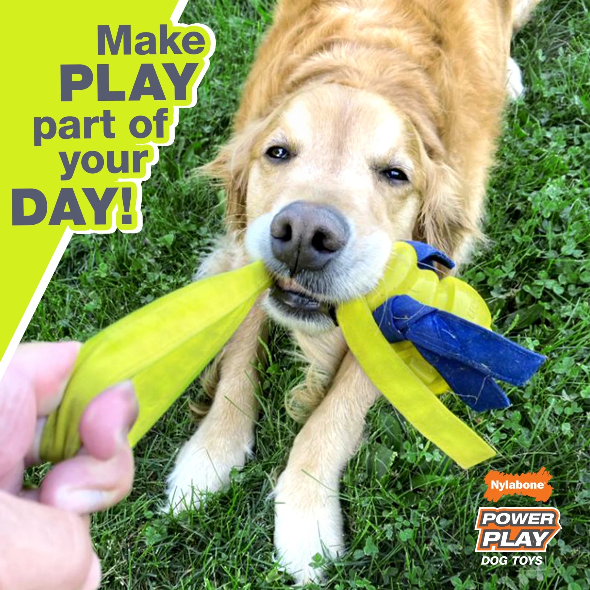 Power Play Dog Football Gripz, Dog Play Toy, Medium