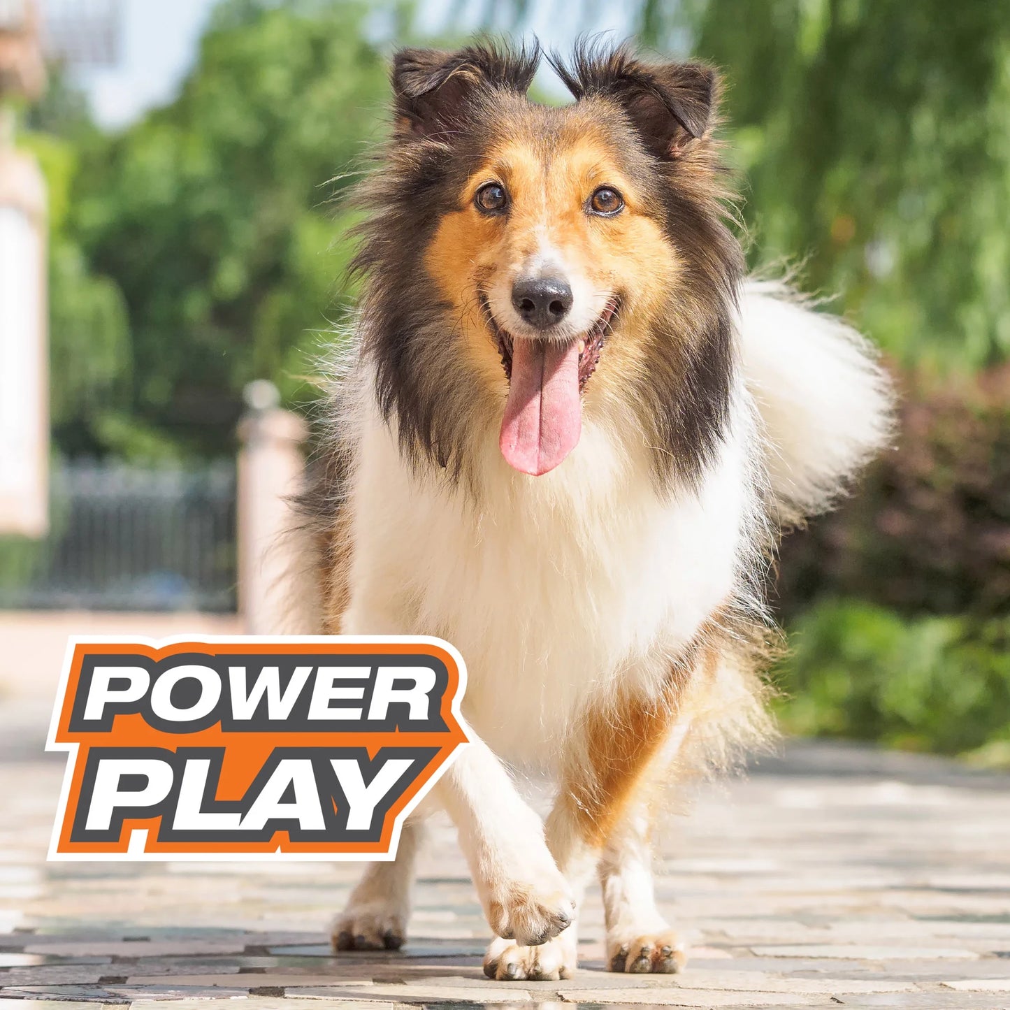 Power Play Dog Football Gripz, Dog Play Toy, Medium