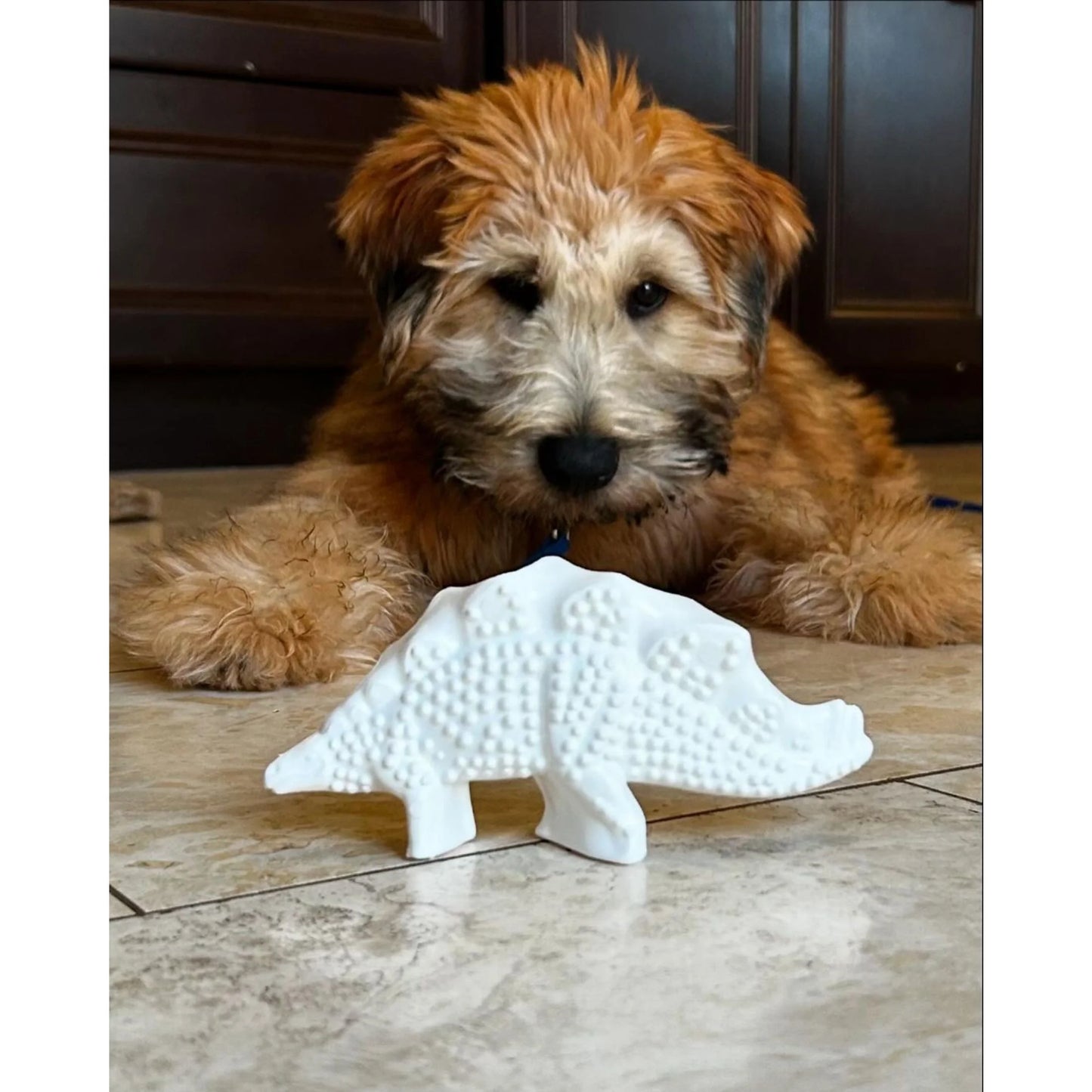 Power Chew Dental Dinosaur Dog Toy, Dog Chew Toy, Chicken Flavor, Large, 1 Count