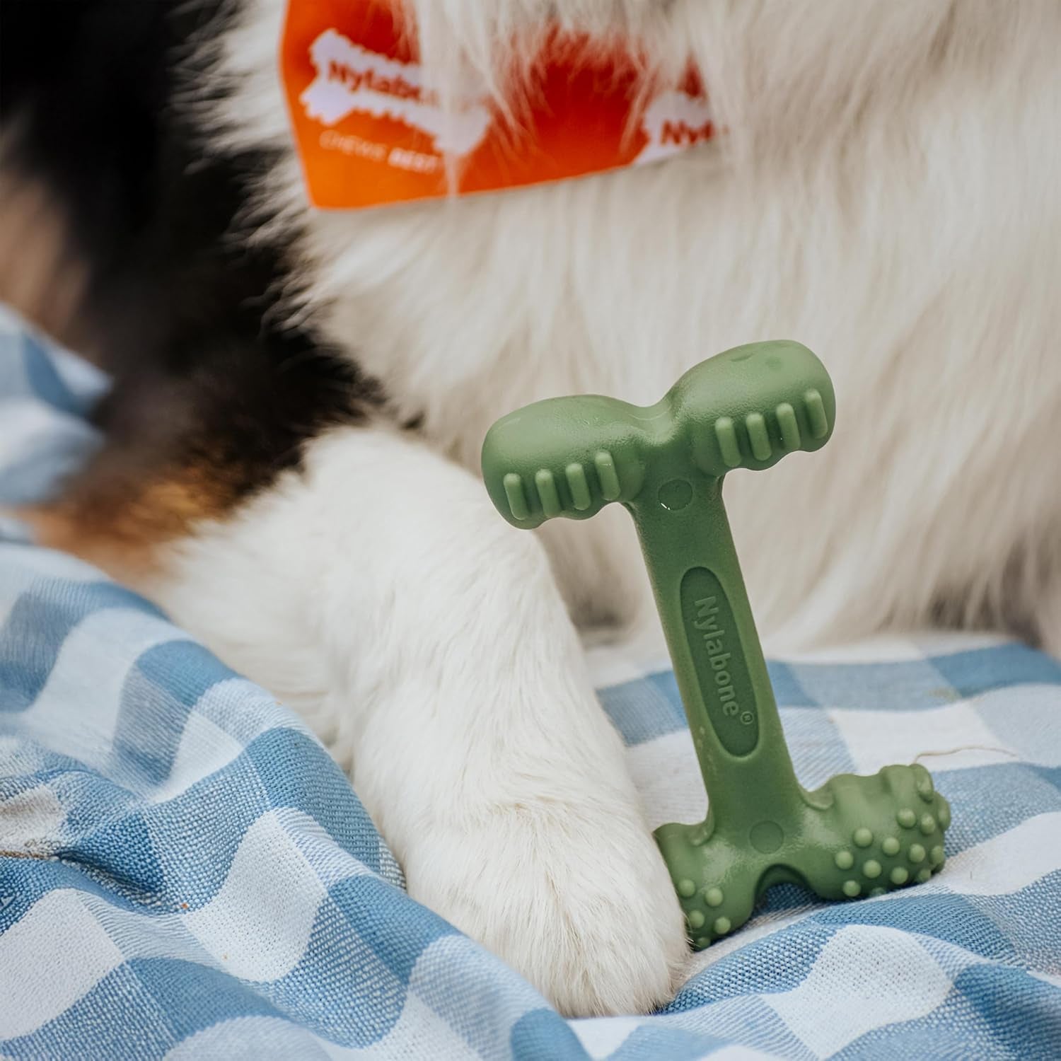 Power Chew Easy Hold Bone Dog Chew Toy, Bacon Flavor, Large | Teeth-Cleaning Textures, Easy to Hold, Durable Dog Toy for Aggressive Chewers up to 50 Lbs, Discourages Destructive Chewing