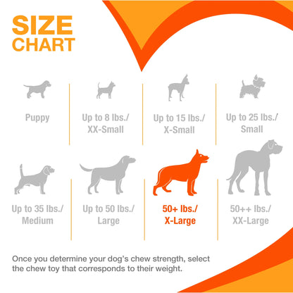 Power Chew Femur Bone Alternative Dog Toy, Dog Chew Toy, Beef Flavor, X-Large, 1 Count