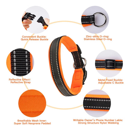 Dog Collar with Dog Tag Reflective Soft Neoprene Padded Breathable and Adjustable, Odour Resistant and Fast Drying-Orange-M