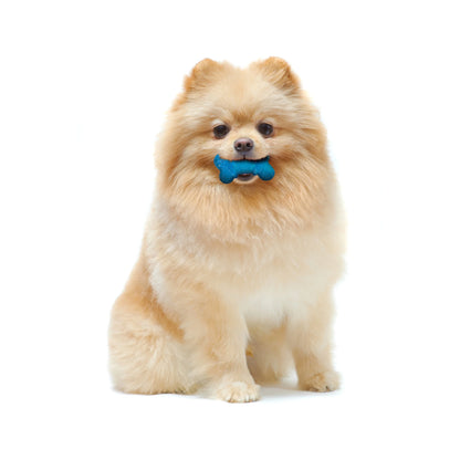 Flexi Chew Bone Dog Chew Toy Peanut Butter & Bacon Orange & Blue Xx-Small (2 Count)