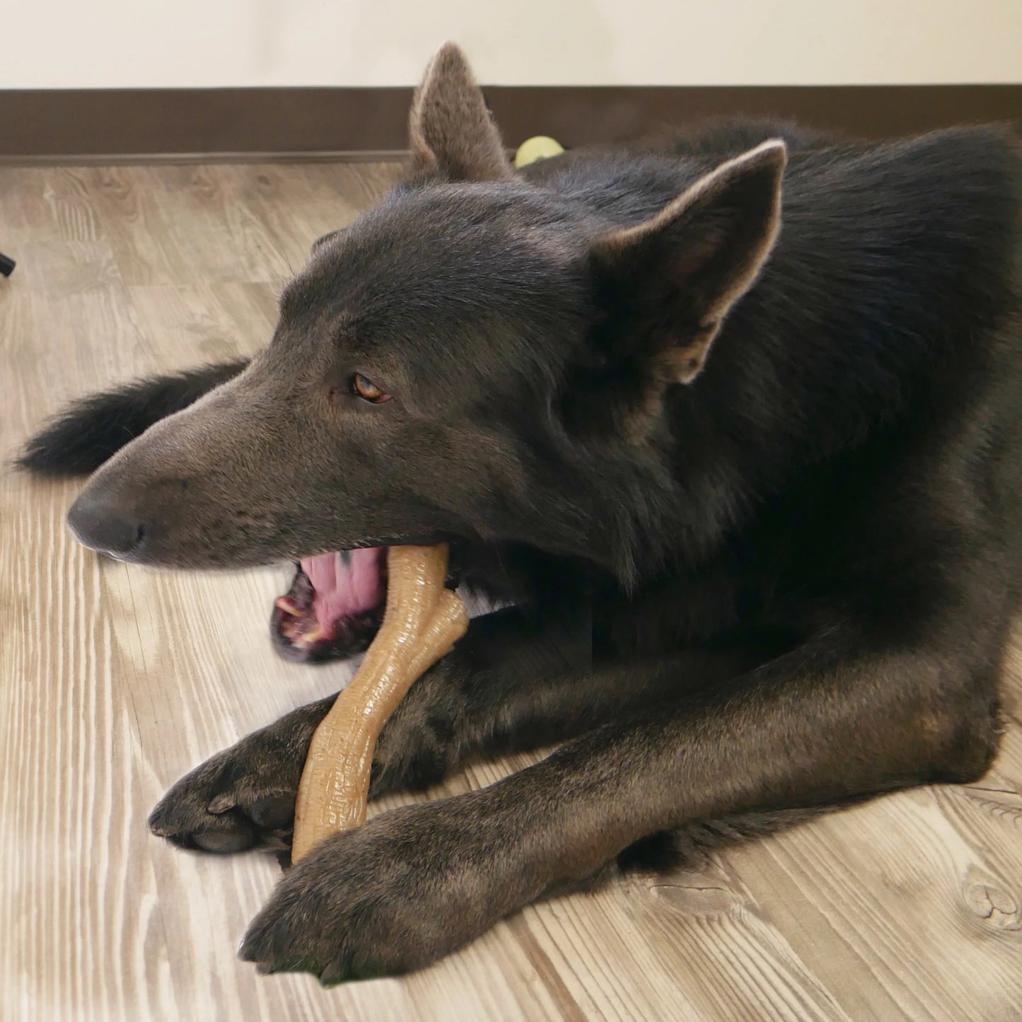 Gourmet Style Dog Chew Toy Stick, Chicken, Medium (Up to 35 Lbs.)