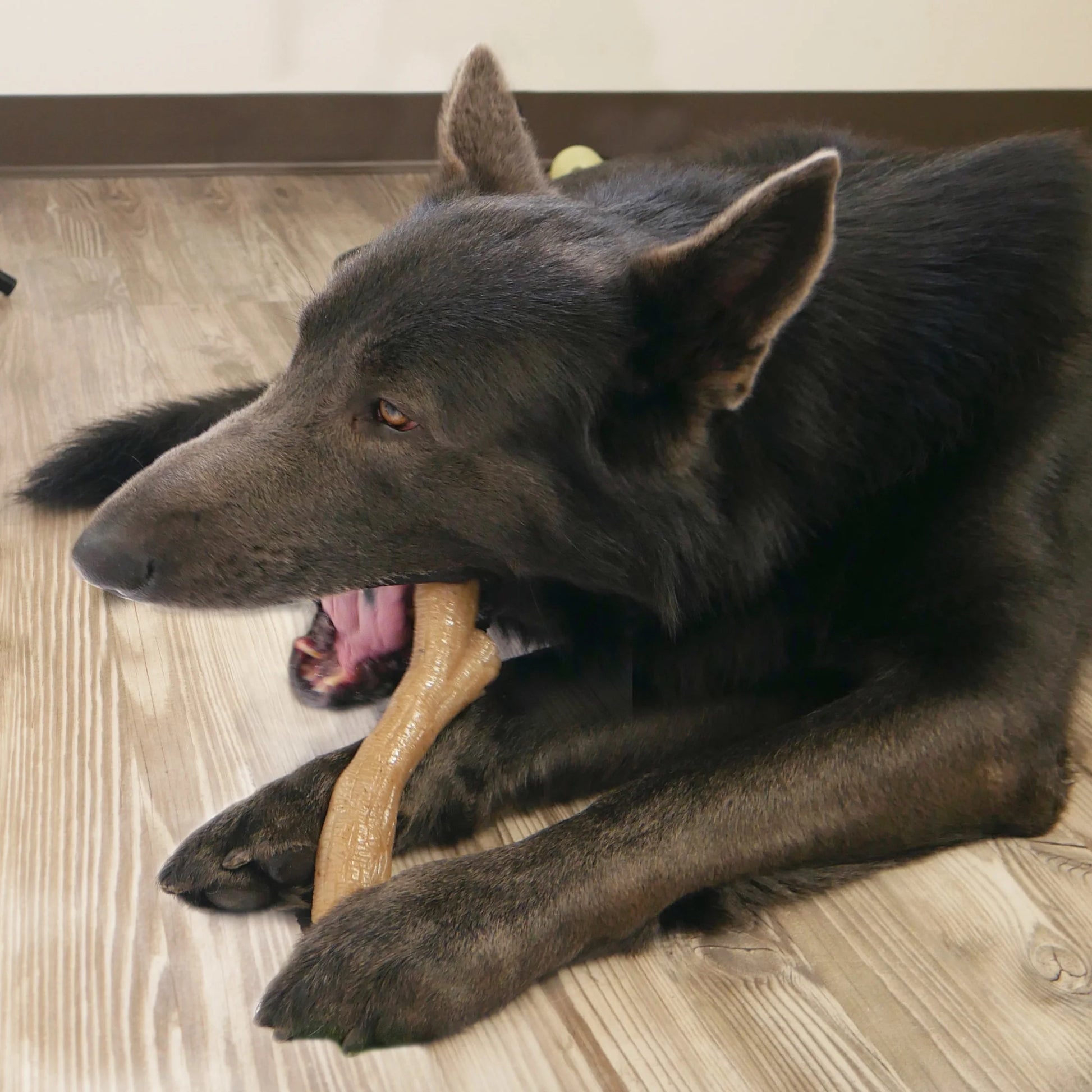 Gourmet Style Dog Chew Toy Stick, Chicken, Medium (Up to 35 Lbs.)