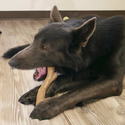 Gourmet Style Dog Chew Toy Stick, Chicken, Medium (Up to 35 Lbs.)